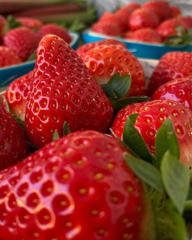 Fraises de Carpentras