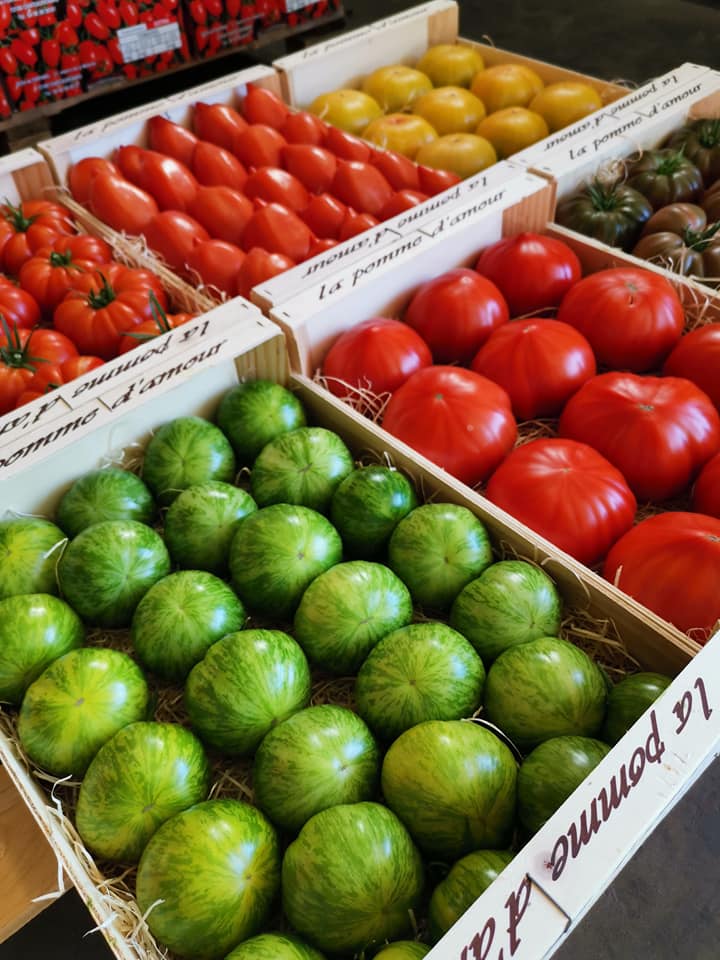 tomates pomme d'amour